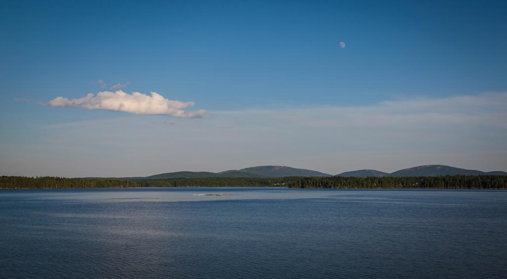 Narrows Too Camping Resort Cottage 11 Trenton Exteriör bild
